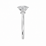 Oval, white gold