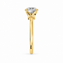 Round, yellow gold