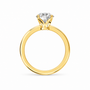 Round, yellow gold