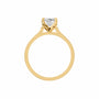 Marquise, yellow gold
