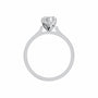 Oval, white gold