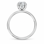 Oval, white gold