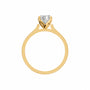 Oval, yellow gold