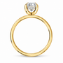 Oval, yellow gold