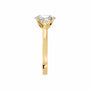 Oval, yellow gold