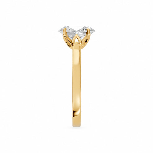 Oval, yellow gold