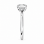 princess, white gold