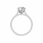 Round, white gold