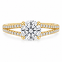 Round, yellow gold