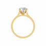 Round, yellow gold