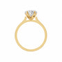 heart, yellow gold