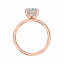 princess, rose gold