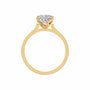 princess, yellow gold